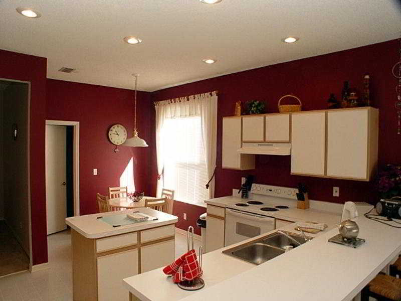 New Port Richey & Hudson Area Vacation Homes Eksteriør bilde